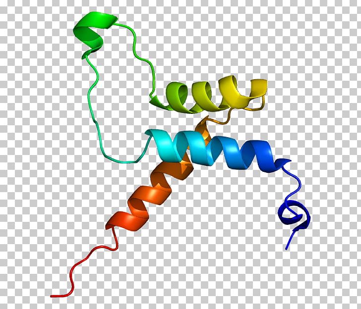 TEAD4 TEAD3 TEAD1 Transcription Factor Gene PNG, Clipart, Animal Figure, Area, Artwork, Cell, Cell Potency Free PNG Download