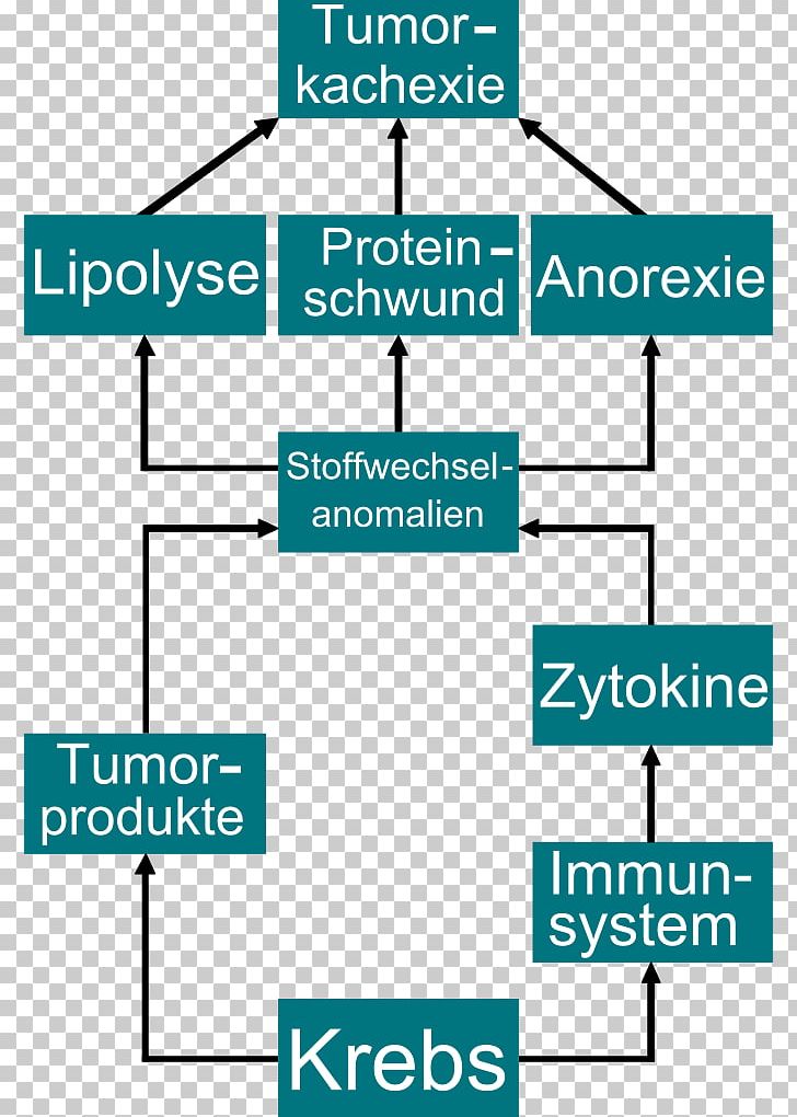 Cancer Cachexia Wilms' Tumor Metabolism PNG, Clipart,  Free PNG Download