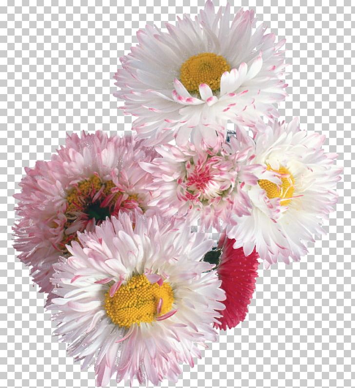 Flower Floral Design Desktop PNG, Clipart, Annual Plant, Artificial Flower, Aster, Chrysanthemum, Chrysanths Free PNG Download