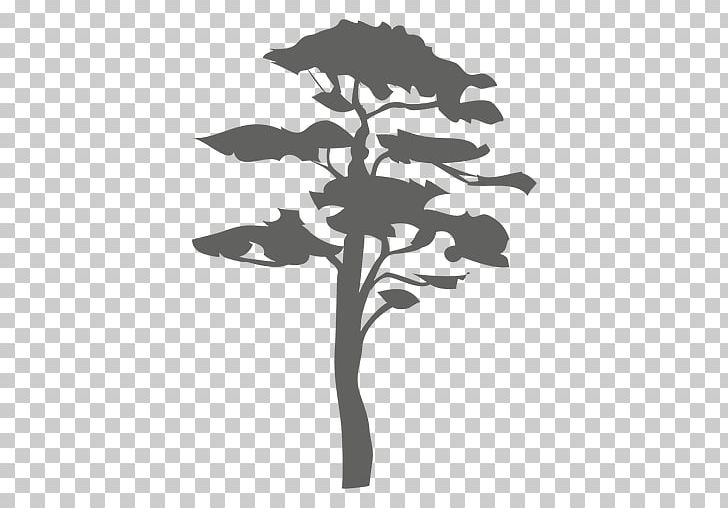 Tree Silhouette Arboriculture Woody Plant Branch PNG, Clipart, Arboriculture, Black And White, Bran, Flora, Flower Free PNG Download