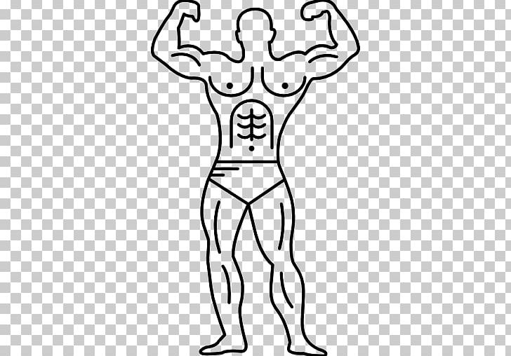 Muscle Human Body Arm Muscular System PNG, Clipart, Abdomen, Arm, Art, Biceps, Black Free PNG Download