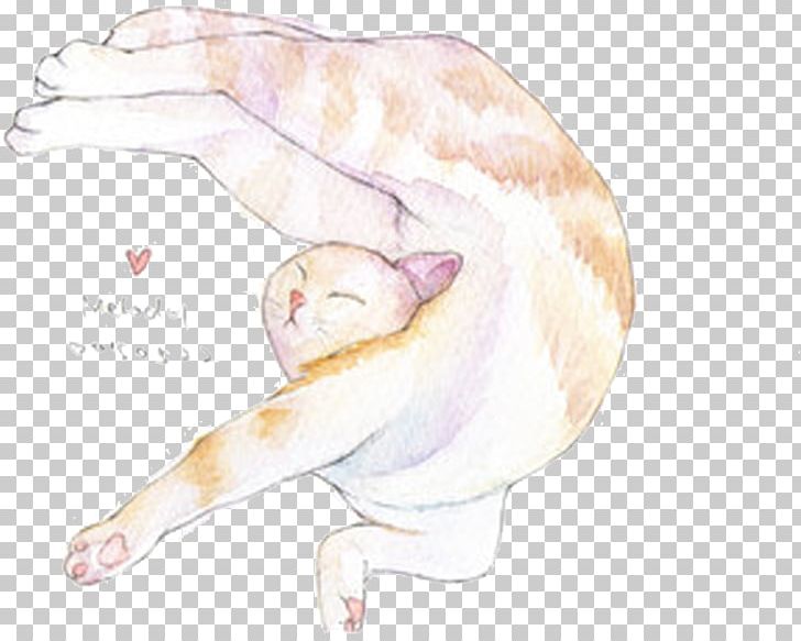 Cat Carnivora Illustration PNG, Clipart, Action, Air, Animal, Animal Locomotion, Arm Free PNG Download