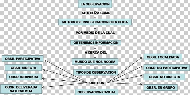 Concept Map Observation Information Diagram PNG, Clipart, Angle, Brand, Cognitive Map, Concept, Concept Map Free PNG Download