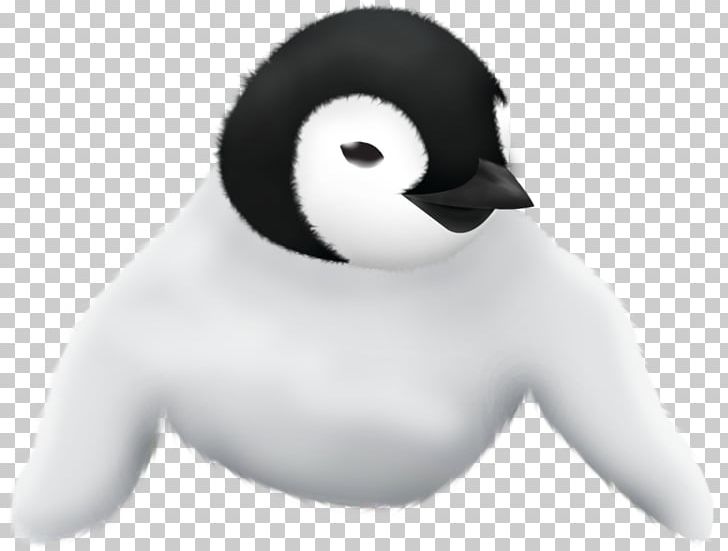 Duck Penguin Nose Beak PNG, Clipart, Animals, Beak, Bird, Duck, Ducks Geese And Swans Free PNG Download