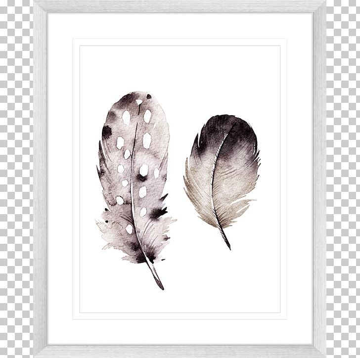 Frames Feather Black White Printing PNG, Clipart, Animals, Black, Black And White, Color, Feather Free PNG Download
