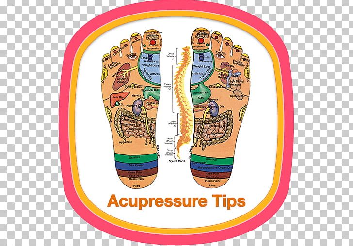 Acupuncture Acupressure Reflexology Meridian Therapy PNG, Clipart, Acupressure, Acupuncture, Akupunktiopiste, Alternative Health Services, Back Pain Free PNG Download