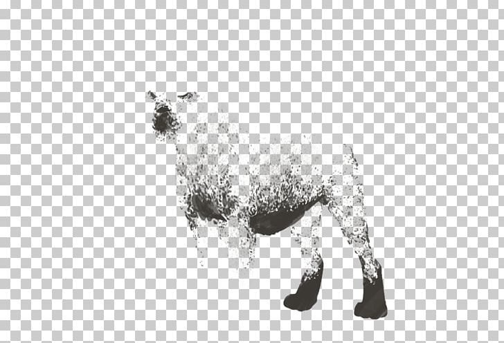 Dog Breed Sheep PNG, Clipart, Animals, Black And White, Breed, Carnivoran, Cow Goat Family Free PNG Download