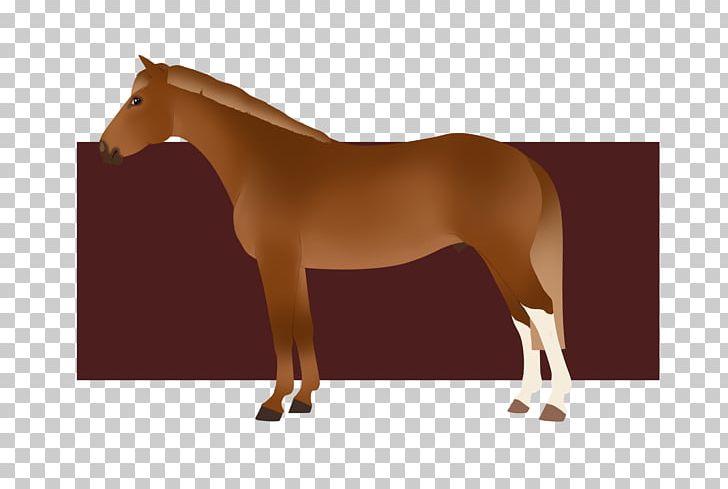 Mane Mustang Stallion Mare Halter PNG, Clipart,  Free PNG Download