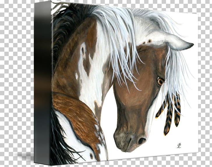 American Paint Horse Mustang Pony Mane American Quarter Horse PNG, Clipart, American Paint Horse, American Quarter Horse, Black, Fauna, Friesian Horse Free PNG Download