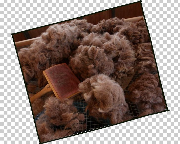 Dog Fur Canidae Crossbreed Mammal PNG, Clipart, Alpaca Farm, Animals, Canidae, Crossbreed, Dog Free PNG Download