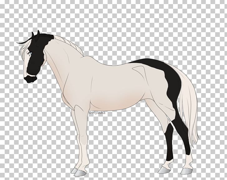 Foal Mane Stallion Mare Mustang PNG, Clipart, Bridle, Colt, English Riding, Equestrian, Foal Free PNG Download