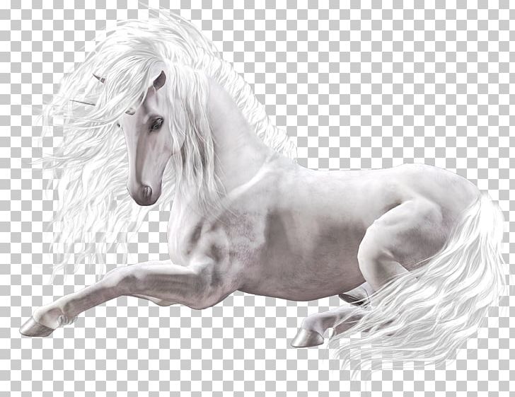 Horse Swiat Bez Ciebie Zaginiony Swiat Koni Book Unicorn PNG, Clipart, Animals, Black And White, Book, Child, Drawing Free PNG Download