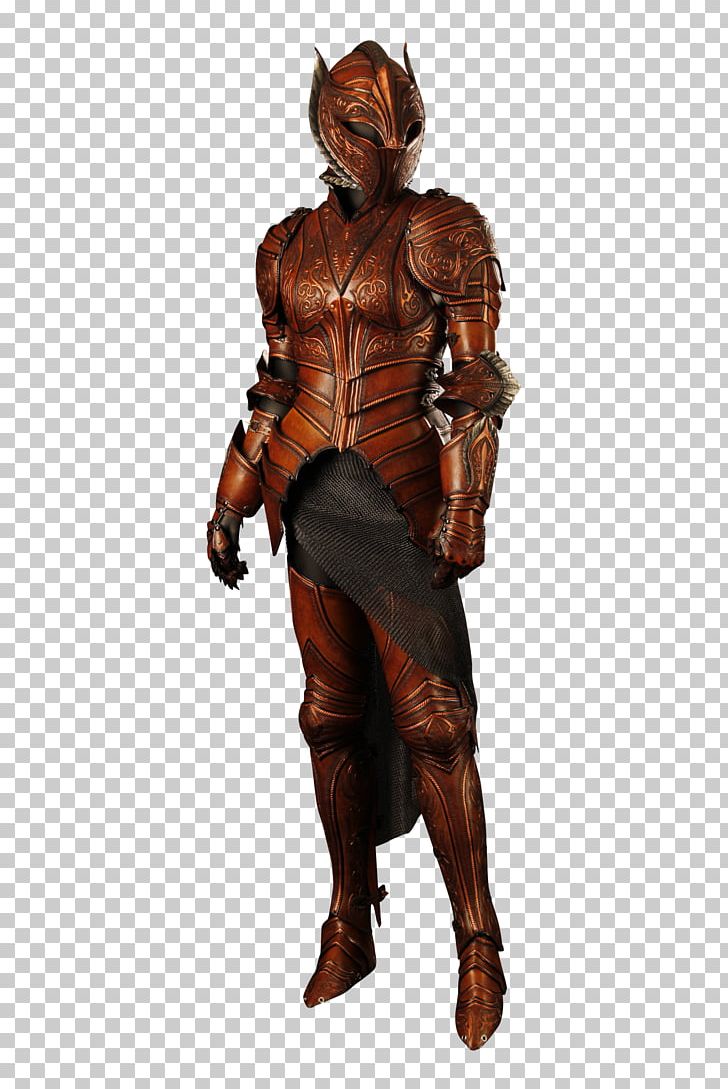 Armour Phoenix Fish Mooney Character PNG, Clipart, Armour, Art, Art Museum, Character, Costume Free PNG Download
