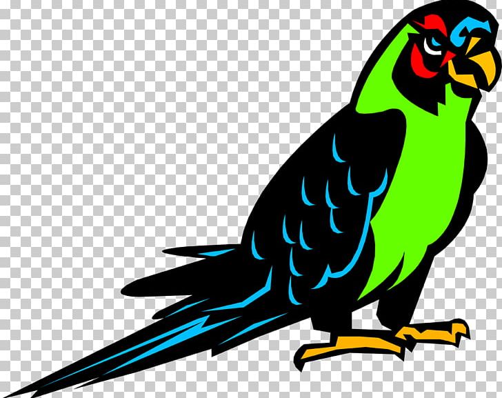 Bird Parrot Parakeet Crane PNG, Clipart, Animals, Beak, Bird, Cockatiel, Common Pet Parakeet Free PNG Download