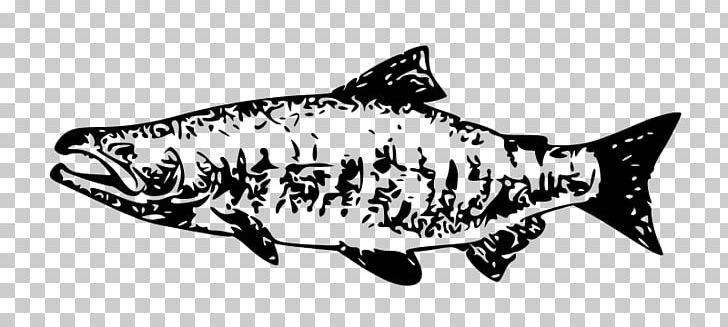 Chum Salmon Chinook Salmon Sockeye Salmon PNG, Clipart, Black And White, Cartilaginous Fish, Chinook Salmon, Chum Salmon, Coho Salmon Free PNG Download