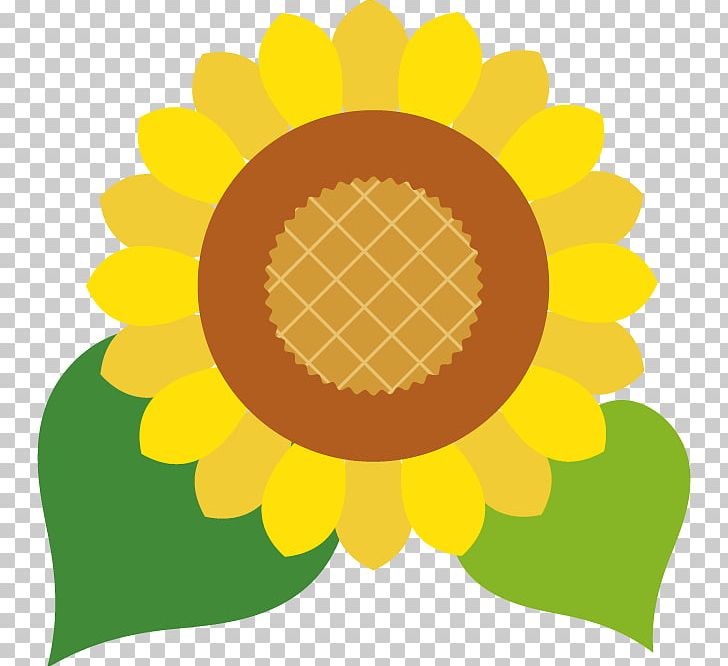 Common Sunflower 株式会社 スズキ自販鳥取 スズキアリーナ丸山 Suzuki PNG, Clipart, Animal, Blog, Cars, Circle, Common Sunflower Free PNG Download