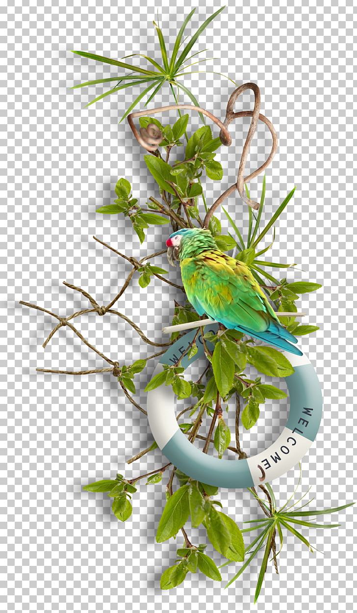 Fishing Net PNG, Clipart, Animals, Beak, Bird, Branch, Branches Free PNG Download