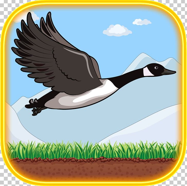 Goose Duck Bird Red Ball Jump Anatidae PNG, Clipart, Anatidae, Animals, App Store, Beak, Bird Free PNG Download