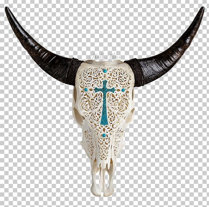 Texas Longhorn Human Skull Symbolism English Longhorn PNG, Clipart, Animal, Animal Skulls, Art, Bone, Bull Free PNG Download