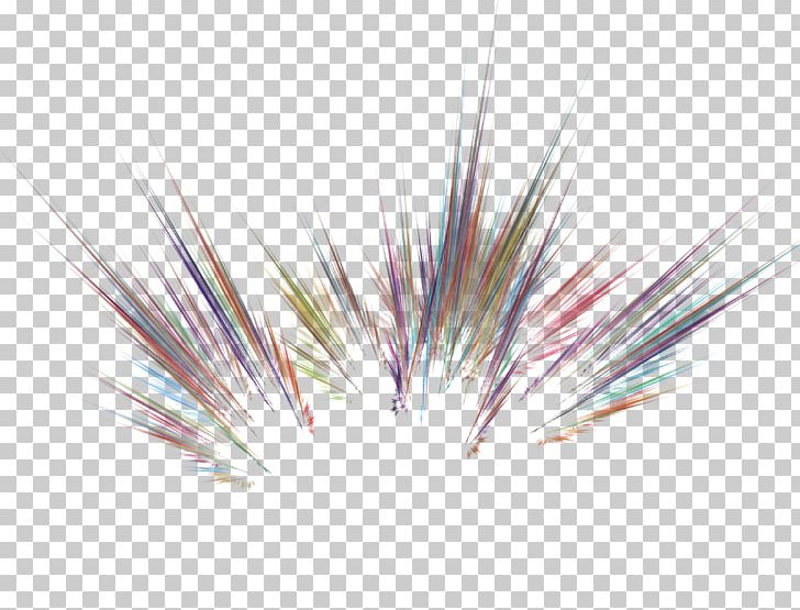 Close-up Purple Line PNG, Clipart, Art, Closeup, Close Up, Feather, Grass Free PNG Download