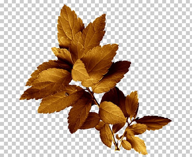 Painting Leaf Drawing PNG, Clipart, Advertising, Art, Autumn, Drawing, Fall Free PNG Download