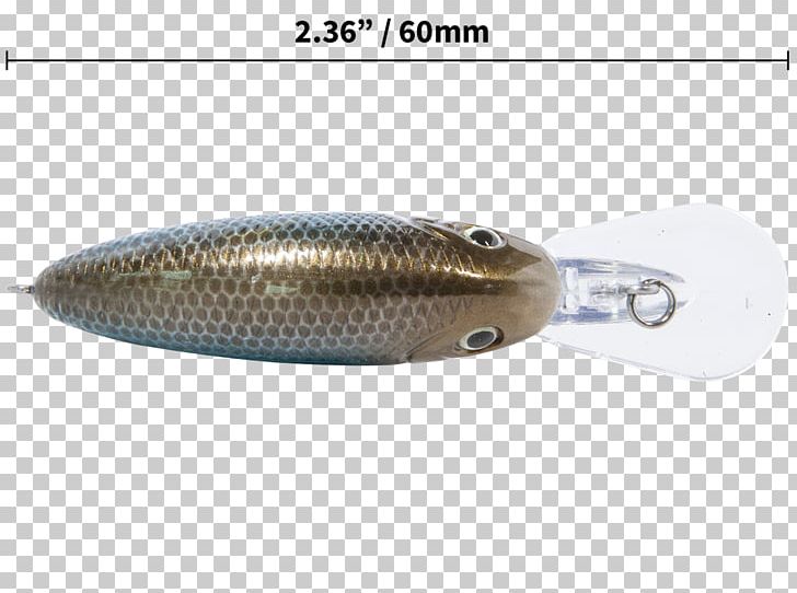 Spoon Lure Fish PNG, Clipart, Animals, Bait, Fish, Fishing Bait, Fishing Lure Free PNG Download