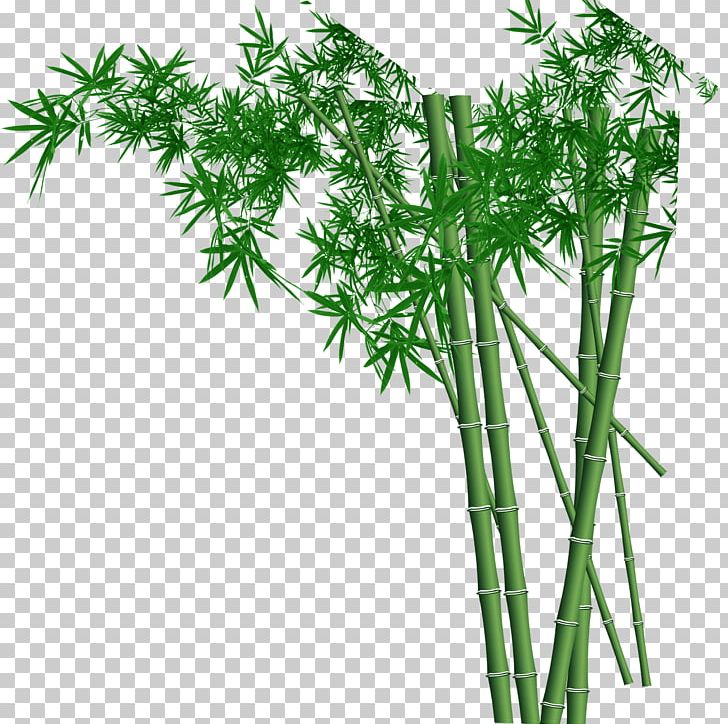 Wall Bamboo Fundal PNG, Clipart, Asparagus, Bamboo Border, Bamboo Frame, Bamboo Leaf, Bamboo Leaves Free PNG Download