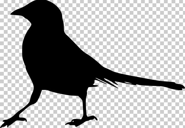 Bird Silhouette Gulls PNG, Clipart, Animals, Beak, Bird, Bird Silhouette, Black And White Free PNG Download