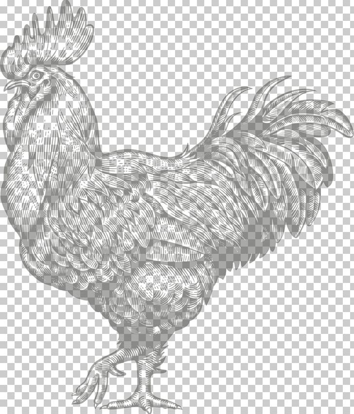Chicken Rooster Illustration Graphics Restaurant PNG, Clipart, Animals, Art, Beak, Bird, Black And White Free PNG Download