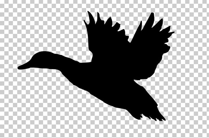 Donald Duck Mallard Silhouette PNG, Clipart, American Black Duck, Art, Beak, Bird, Black And White Free PNG Download