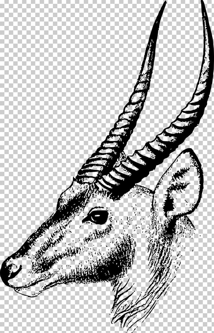 Gazelle Antelope Springbok PNG, Clipart, Animals, Antelope, Art, Black And White, Carnivoran Free PNG Download