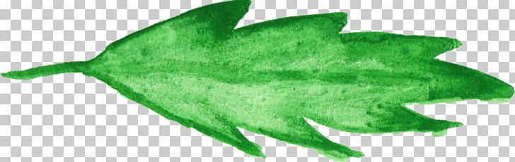 Transparent Watercolor Watercolor Painting Leaf PNG, Clipart, Blog, Com, Digital Media, Download, Green Free PNG Download