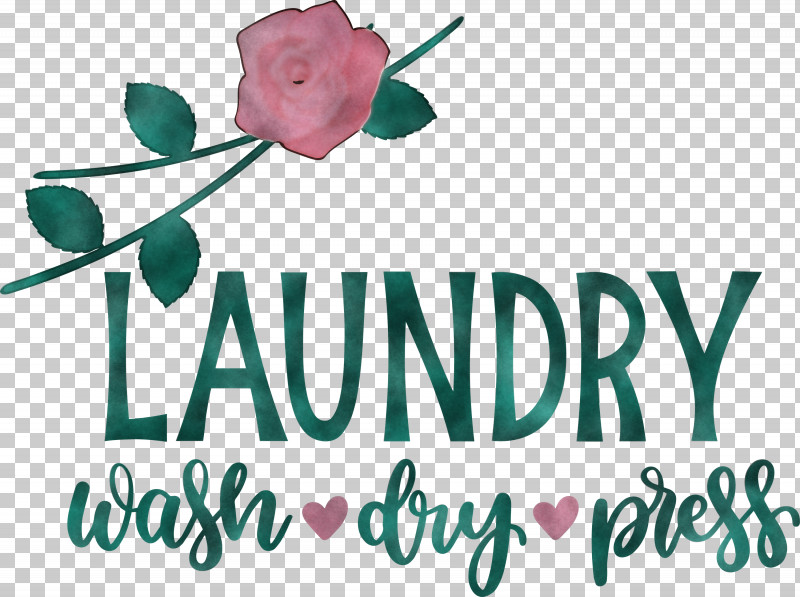 Laundry Wash Dry PNG, Clipart, Cut Flowers, Doterra, Dry, Floral Design, Flower Free PNG Download