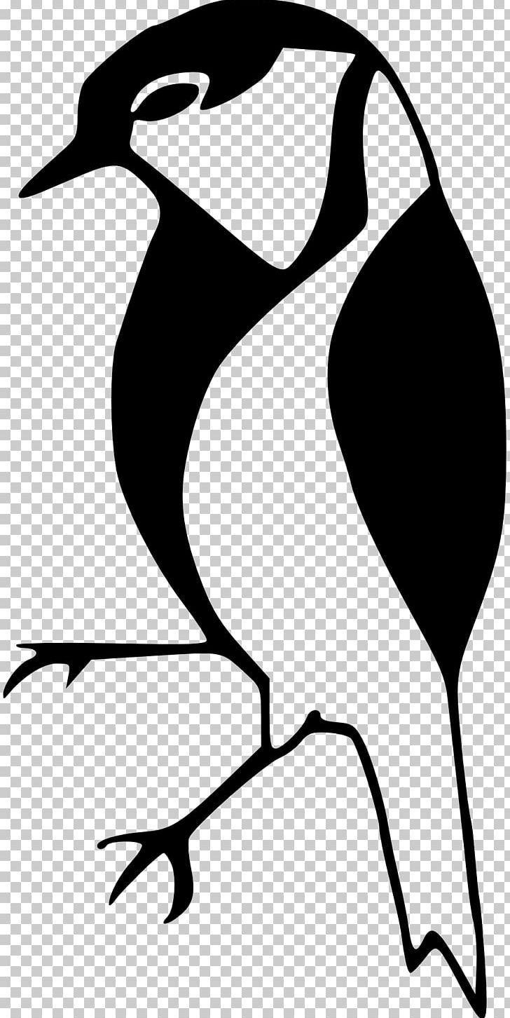 Bird Drawing Finch PNG, Clipart, Animals, Artwork, Beak, Bird, Bird Flight Free PNG Download