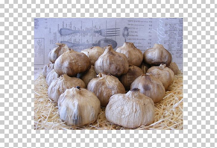 Elephant Garlic Black Garlic France Shallot PNG, Clipart, Adierazpen Geografiko Babestua, Ail, Biscuits, Black Garlic, Elephant Garlic Free PNG Download