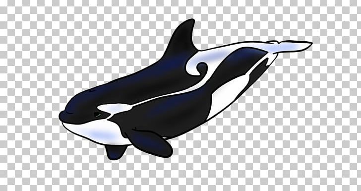 Killer Whale White-beaked Dolphin Cetacea PNG, Clipart, Animal, Animal Figure, Animals, Cetacea, Dear Diary Free PNG Download