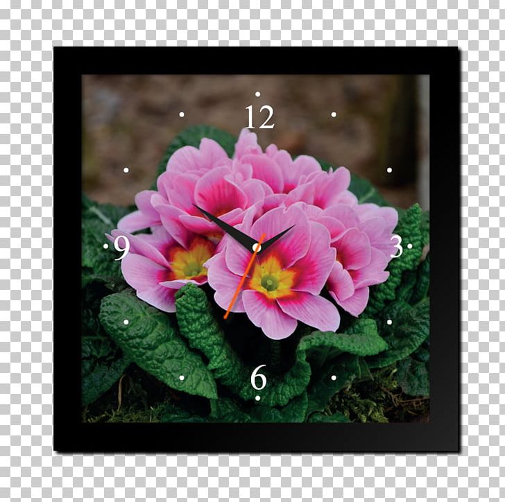 Primrose Cowslip Flower Herb Plant PNG, Clipart, 1080p, Annual Plant, Azalea, Cowslip, Floral Design Free PNG Download