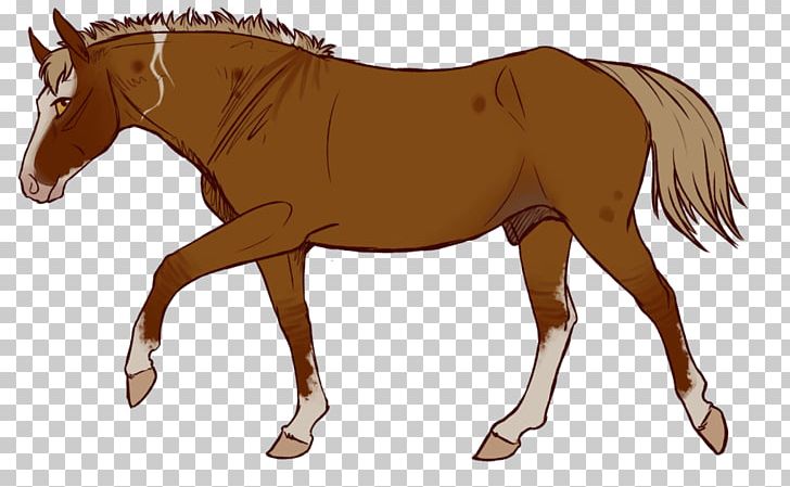Mule Horse Stallion Foal Mare PNG, Clipart, Animal Figure, Bridle, Colt, Foal, Halter Free PNG Download