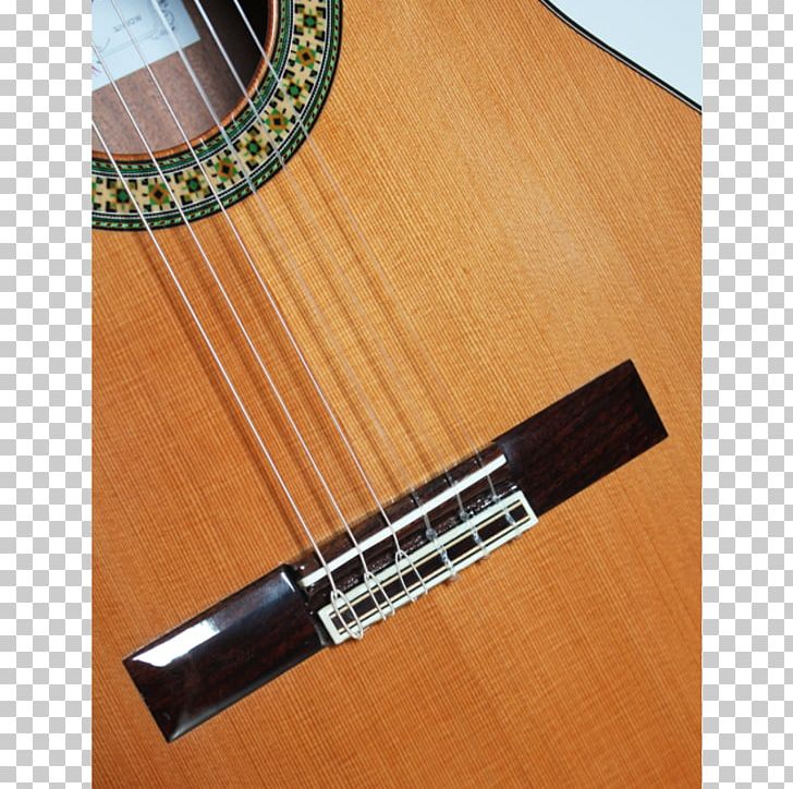 Acoustic Guitar Bass Guitar Acoustic-electric Guitar PNG, Clipart, Acousticelectric Guitar, Acoustic Electric Guitar, Acoustic Guitar, Acoustic Music, Bass Guitar Free PNG Download