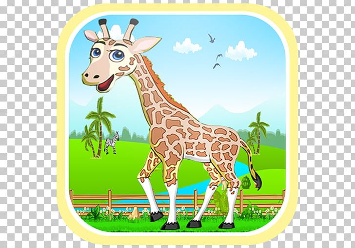 Giraffe Deer Wildlife Fauna PNG, Clipart, Android, Animal, Animals, Apk, Deer Free PNG Download