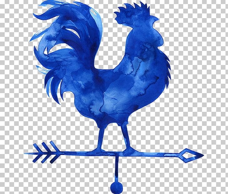 Rooster Cobalt Blue Feather PNG, Clipart, Beak, Bird, Blue, Chicken, Chicken As Food Free PNG Download
