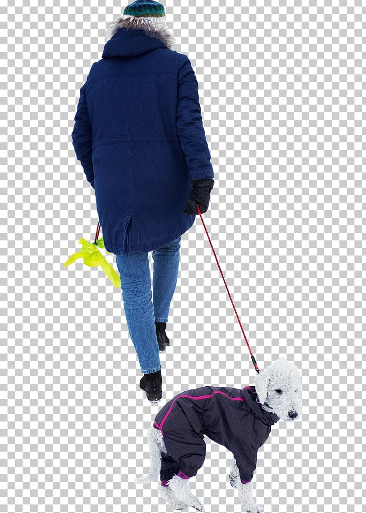 Dog Walking PNG, Clipart, Animals, Bit, Child, Dog, Dog Clothes Free PNG Download