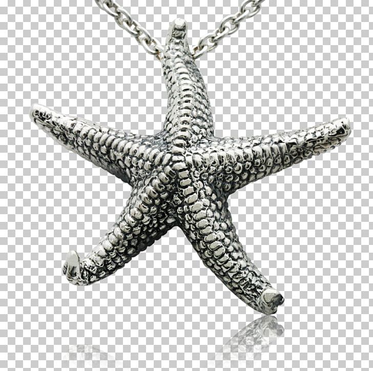Jewellery Invertebrate Starfish Charms & Pendants Silver PNG, Clipart, Body Jewellery, Body Jewelry, Charms Pendants, Diamond, Echinoderm Free PNG Download