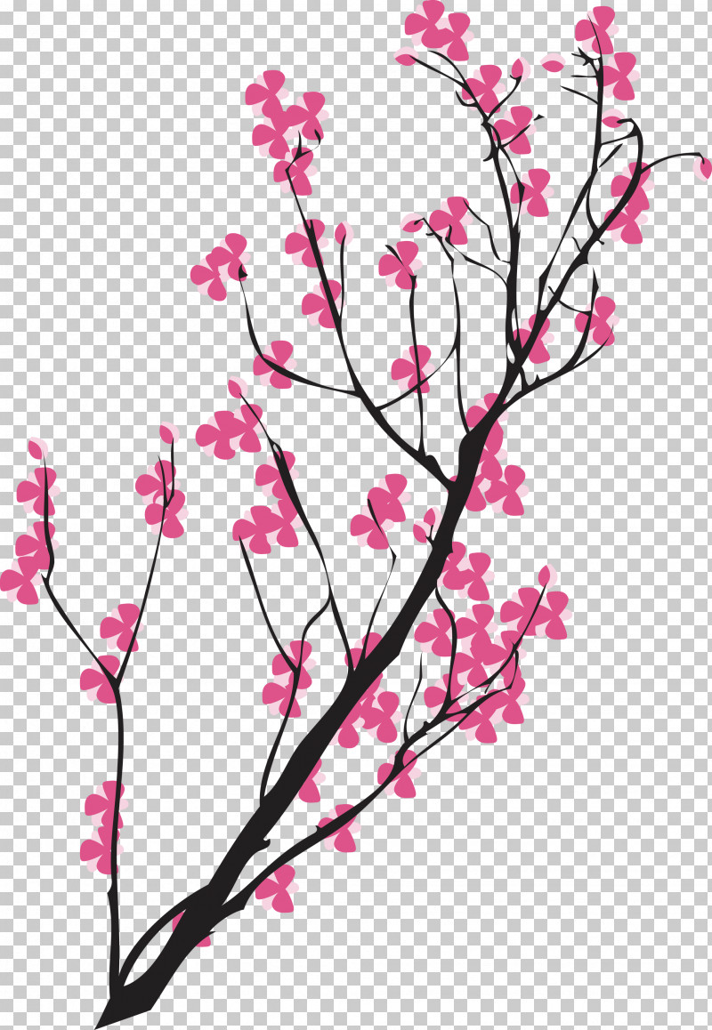 Cherry Flower PNG, Clipart, Blossom, Branch, Cherry Flower, Flower, Pedicel Free PNG Download