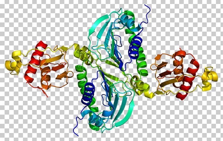 PMS2 MLH1 Protein DNA Mismatch Repair MSH2 PNG, Clipart, Art, Dna Mismatch Repair, Dna Repair, Endonuclease, Food Free PNG Download
