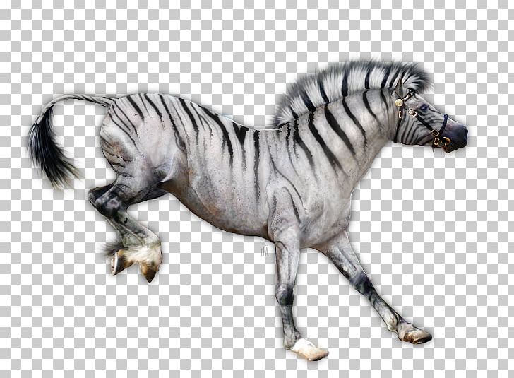 Tiger Quagga Mustang Mane Cat PNG, Clipart, 2019 Ford Mustang, Animal, Animal Figure, Animalia, Animals Free PNG Download