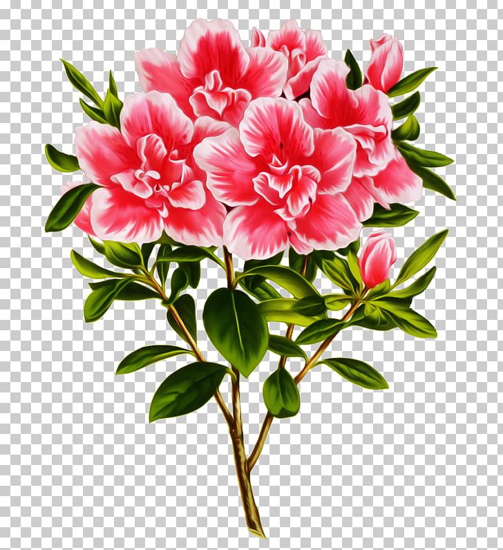 Azalea Photography PNG, Clipart, Annual Plant, Azalea, Can Stock Photo, Cicekler, Cut Flowers Free PNG Download