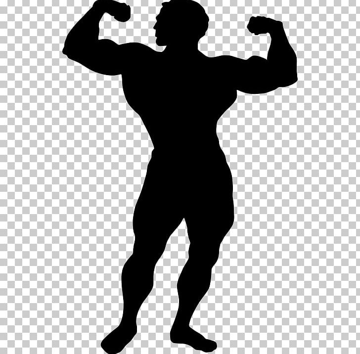 Muscle Muscular System Biceps PNG, Clipart, Arm, Biceps, Black And White, Bodybuilding, Cartoon Free PNG Download
