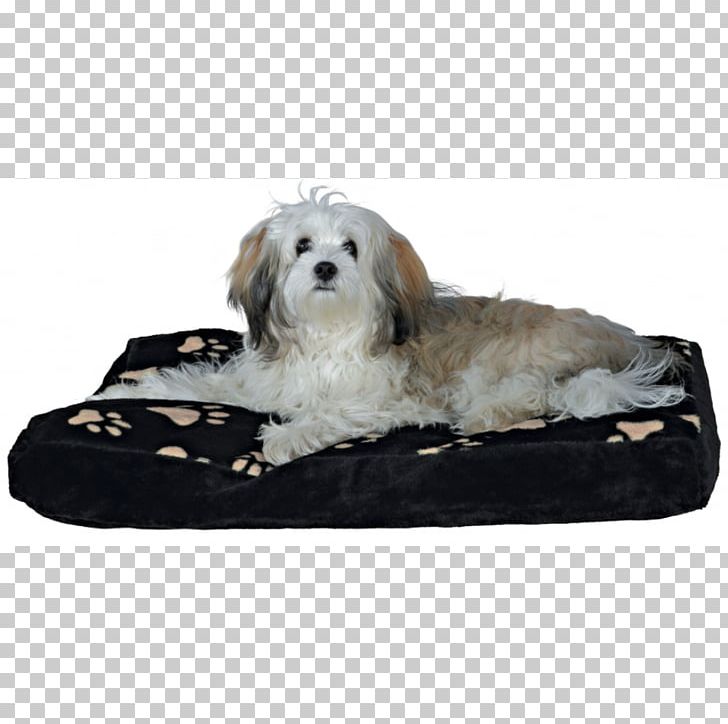 Dog Breed Cushion Chair Couch PNG, Clipart, Animals, Bed, Breed, Carpet, Chair Free PNG Download