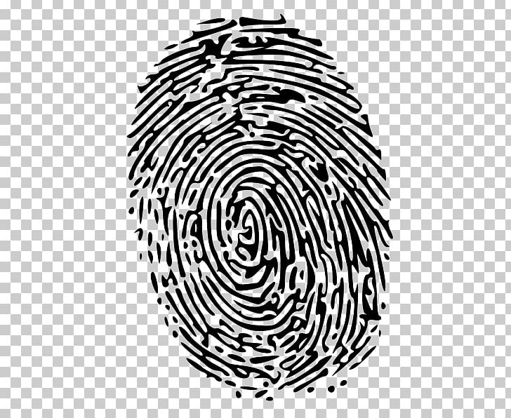 Fingerprint Detective PNG, Clipart, Area, Black, Black And White, Circle, Computer Icons Free PNG Download